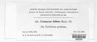 Image Associated With the Occurence